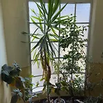 5 Appartement *